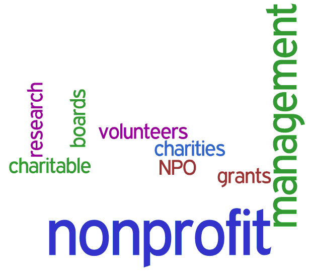 nonprofit management 3